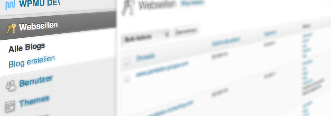 WordPress Multisite Installationen